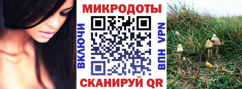 блэк спрут   Норильск  Галлюциногенные грибы Magic Shrooms  где купить  