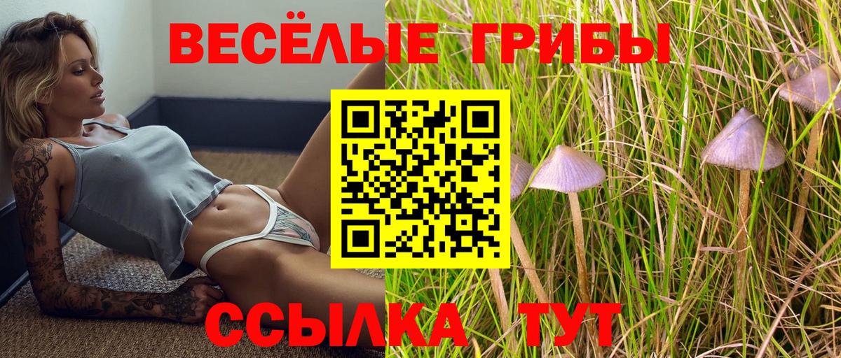 Галлюциногенные грибы Magic Shrooms Норильск