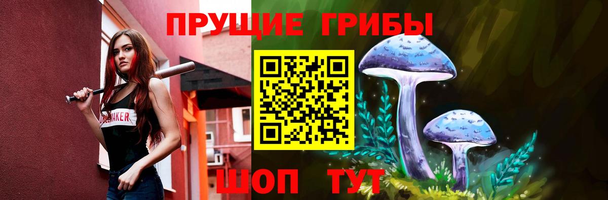 где можно купить   Вход с VPN  Галлюциногенные грибы прущие грибы  Норильск  Галлюциногенные грибы Cubensis 
